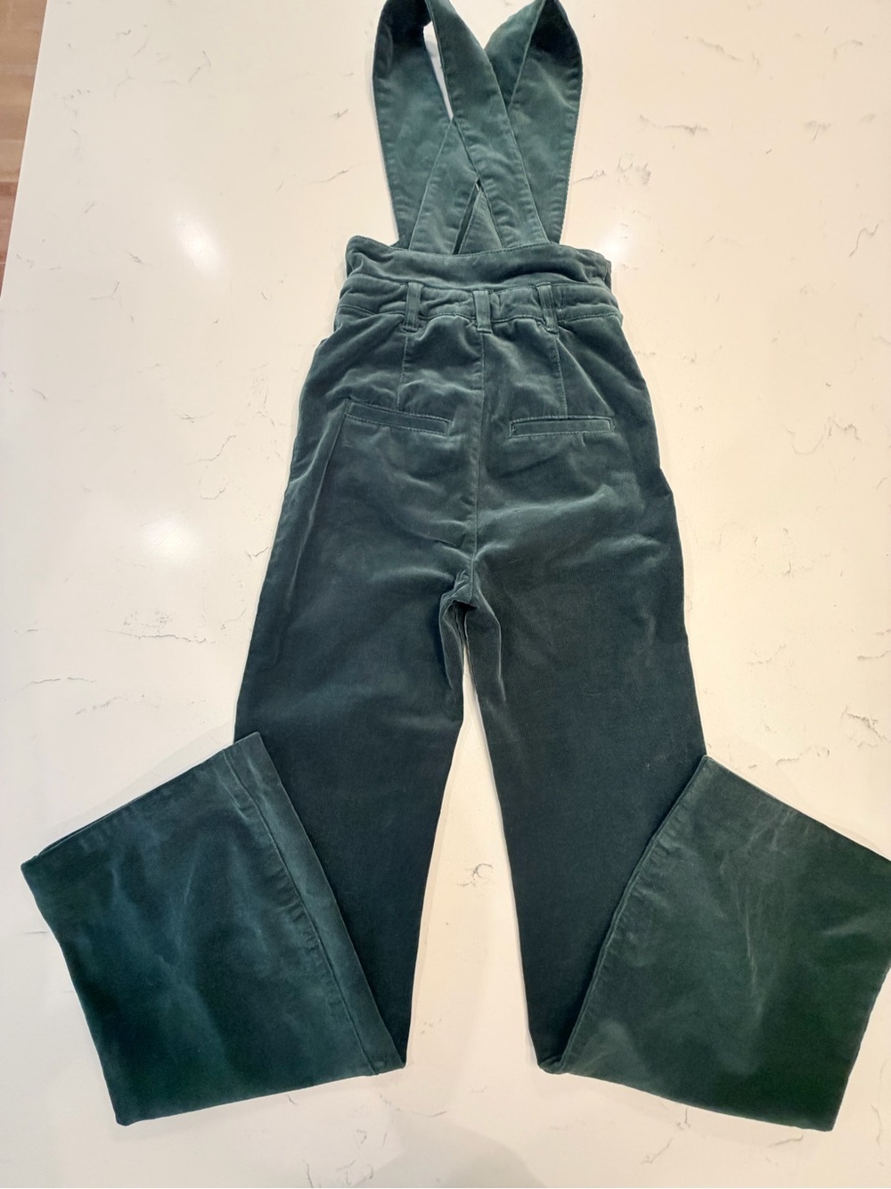 Anthropologie Pilcro Corduroy Jumpsuit Overalls in Sage Green - Picture 14 of 15